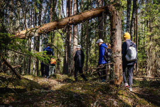 Looduskaitsekuu flora-fauna jalutamismatk Kõrvemaal